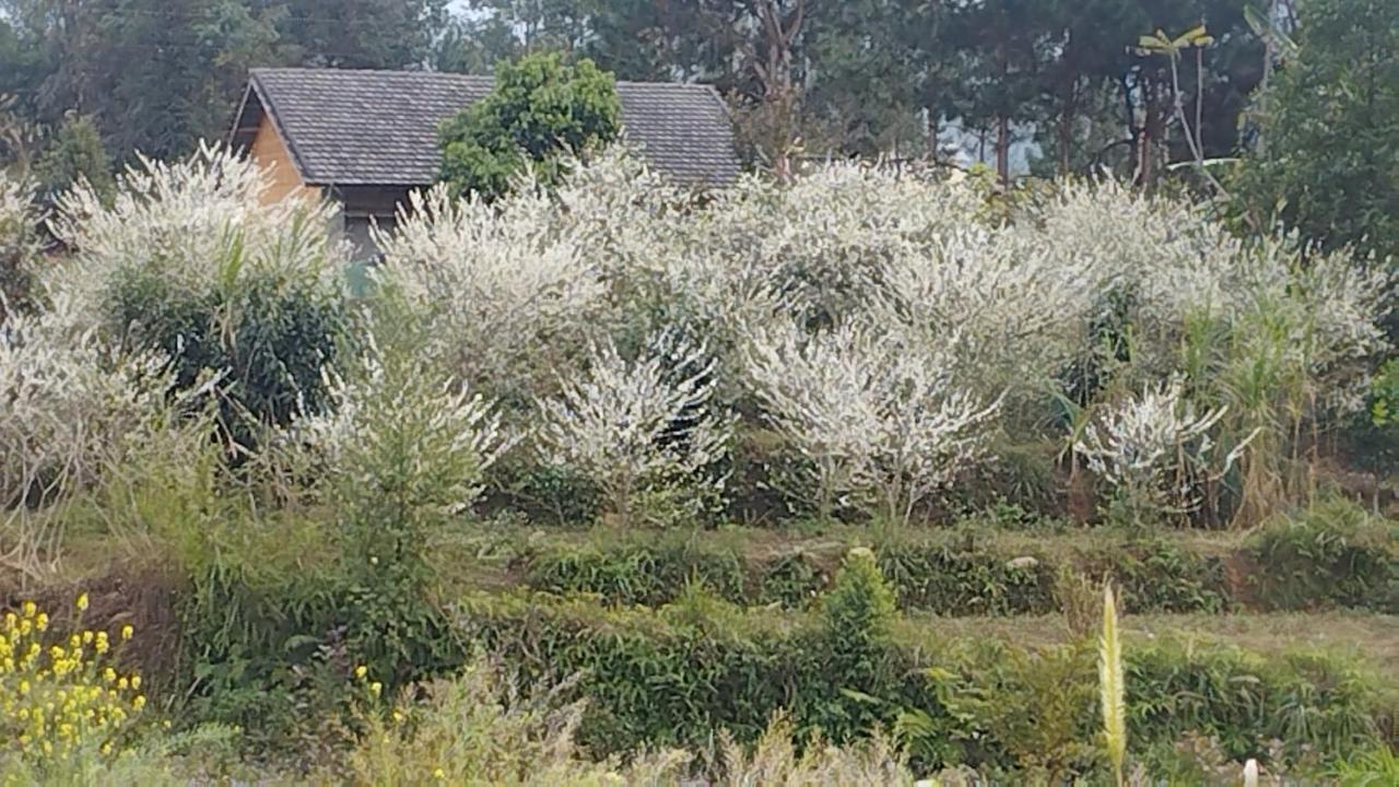Huy Man Homestay Ha Giang Buitenkant foto