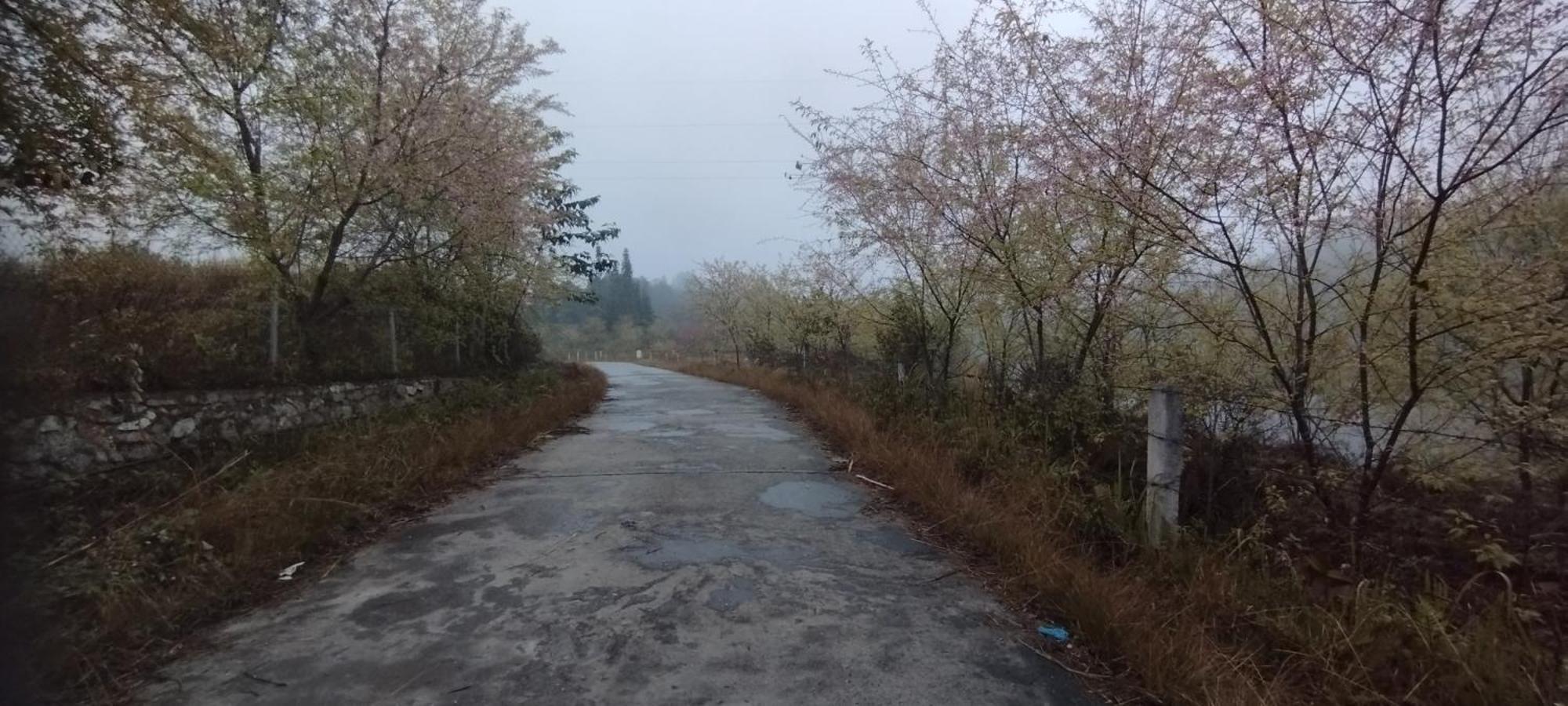 Huy Man Homestay Ha Giang Buitenkant foto