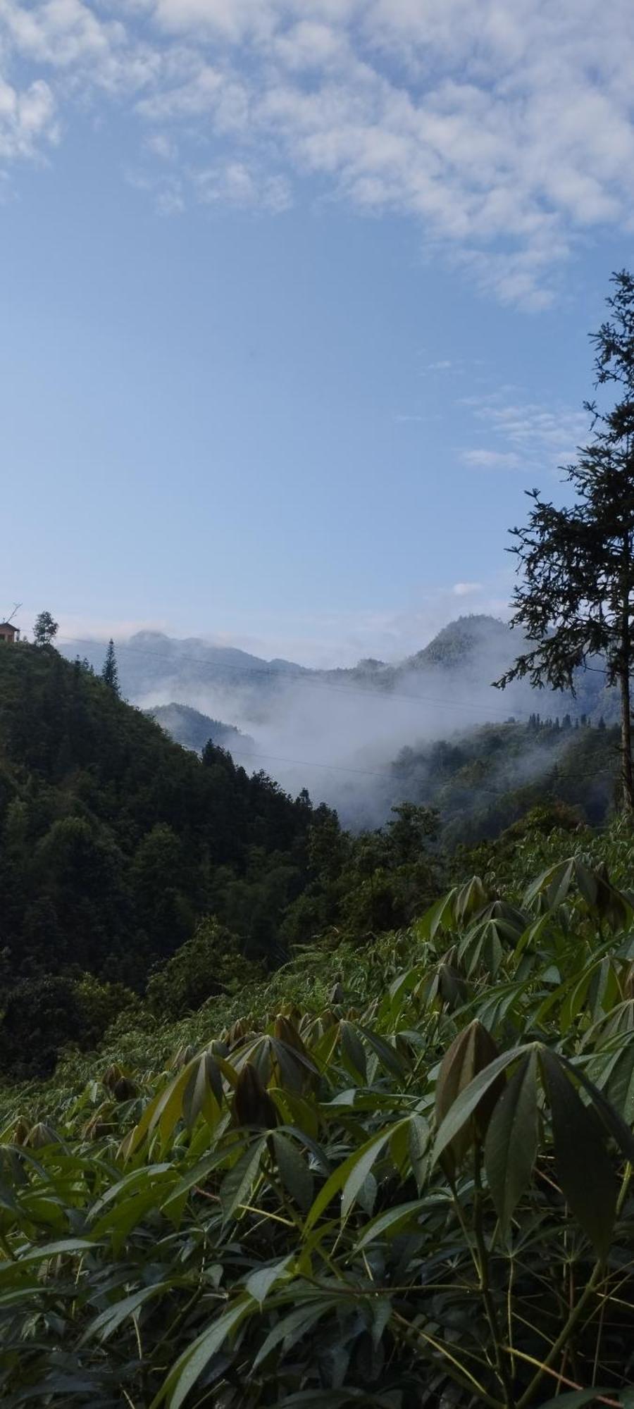 Huy Man Homestay Ha Giang Buitenkant foto