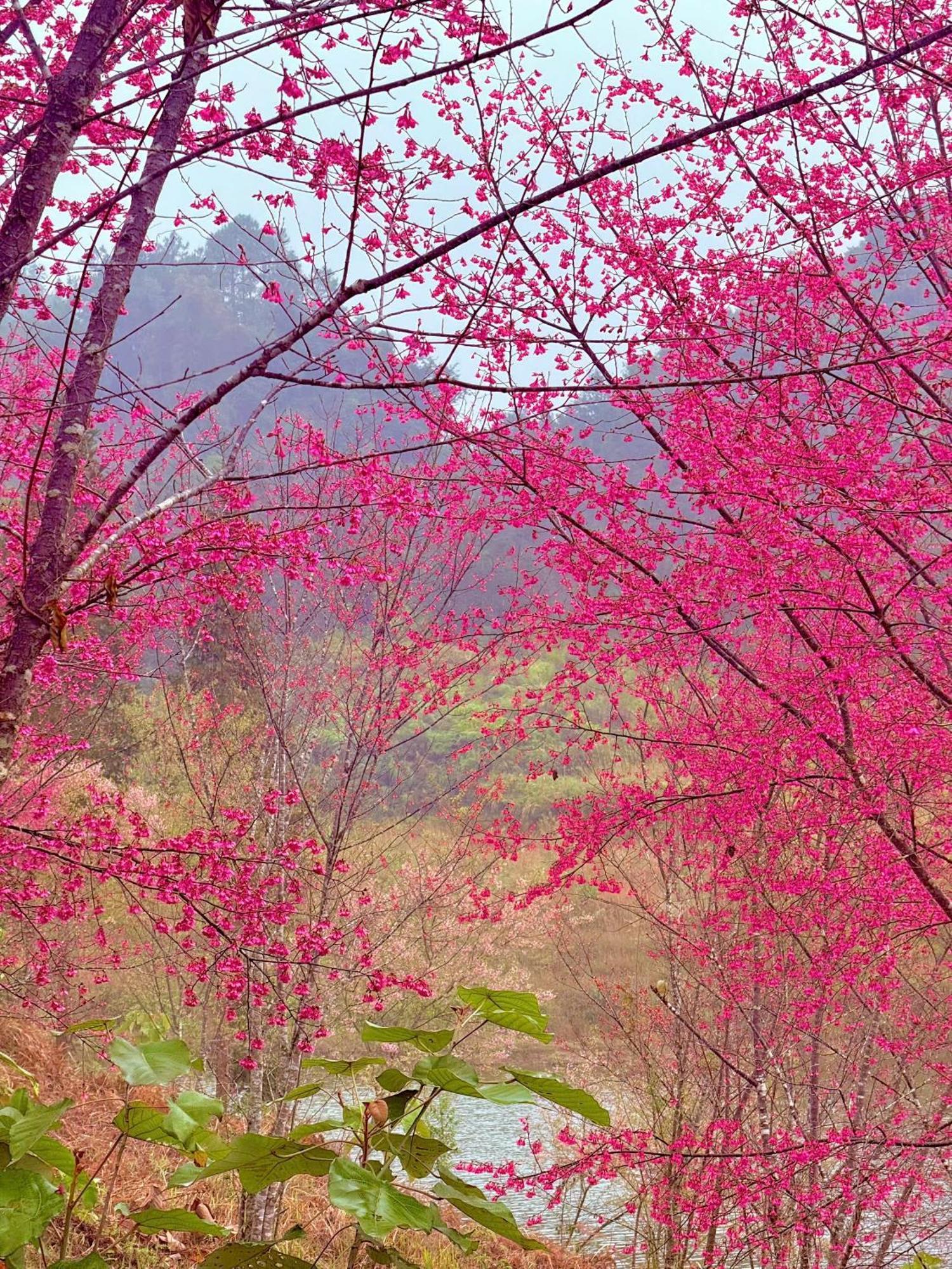 Huy Man Homestay Ha Giang Buitenkant foto